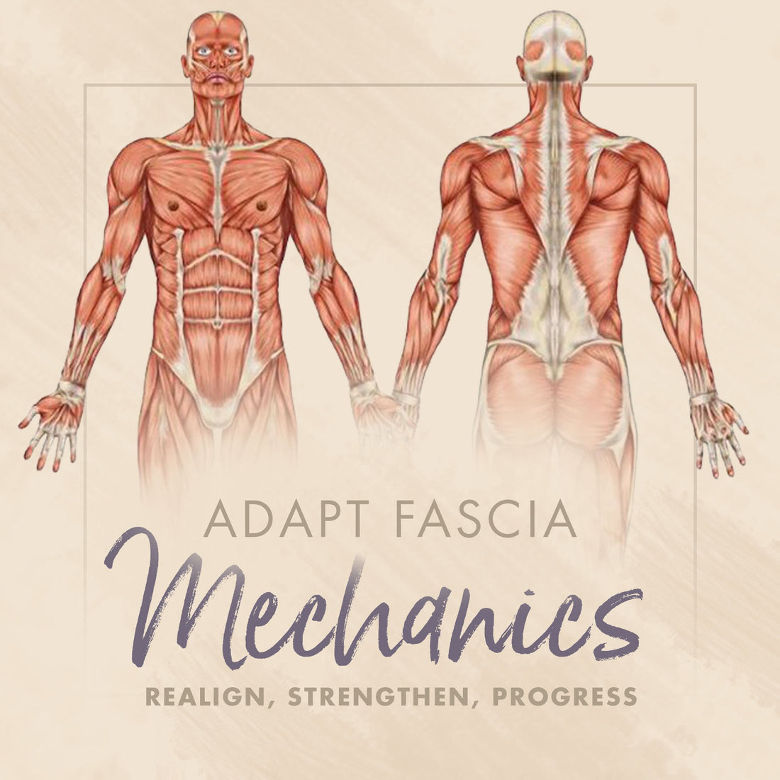 Fascia Mechanics